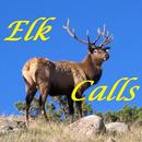 Elk Calls HD APK