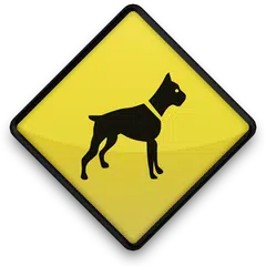 Curso de Adestramento de Cães