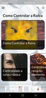 Como Controlar a Raiva poster
