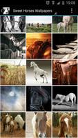 Sweet Horse Wallpapers 포스터