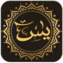 APK Surah Yasin Latin dan Terjemah