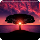 APK Nature Ringtones Free