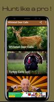 Deer Hunting Calls پوسٹر