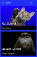 Cat Sounds পোস্টার