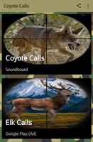 Appels de chasse Coyote Affiche