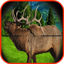 Appels de chasse Elk APK