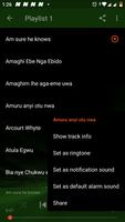 Best Igbo Gospel songs capture d'écran 3