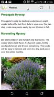 Gardening at Home: Herbs скриншот 3