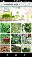 Gardening at Home: Herbs-poster