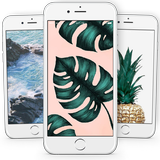 Icona Tropical Wallpapers