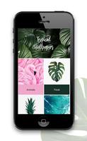 Tropical Wallpapers Cartaz