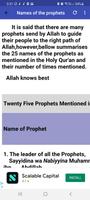 Prophets and caliphs 截图 2