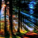 Landschaften)) APK