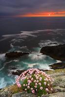 Landschappen 2-poster