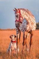 Funny pictures 20 poster