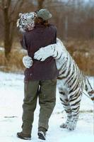 Funny pictures 21 截图 1