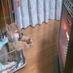 Lustige Bilder 41