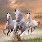 آیکون‌ Horses