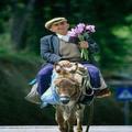 Funny pictures 5