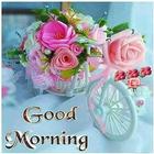 Pictures Good Morning Zeichen