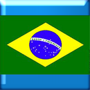 Learn Portuguese Brazilian APK