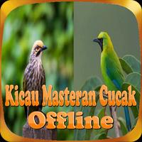 Kicau Masteran Spesial Cucak ảnh chụp màn hình 2