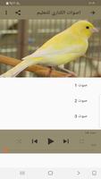 اصوات الكناري للتعليم تصوير الشاشة 1
