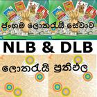 NLB and DLB Lottery Results icône
