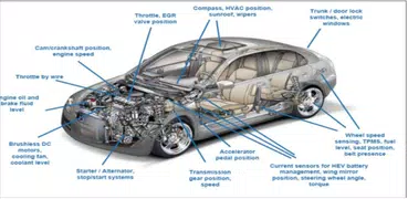 Auto Repair Basics