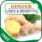Ginger Uses & Benefits icône
