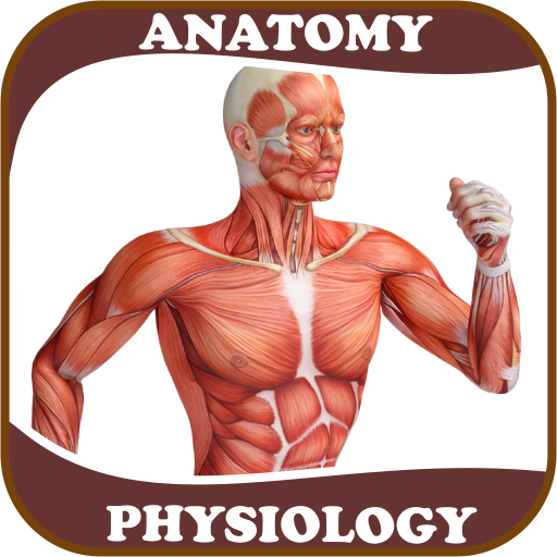 Human Anatomy and Physiology: 