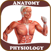 ”Human Anatomy and Physiology