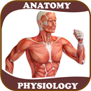 Human Anatomy and Physiology APK