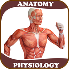 Human Anatomy and Physiology icon