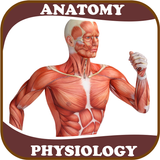APK Human Anatomy and Physiology