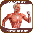 Human Anatomy and Physiology