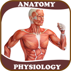 Human Anatomy and Physiology ไอคอน
