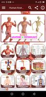 Human Anatomy and Physiology imagem de tela 1