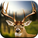 Deer Hunting Calls Soundboard APK
