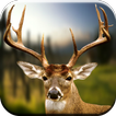 Deer Hunting Aramalar