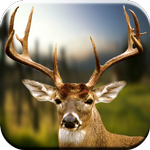 Deer Hunting Calls Soundboard icon