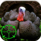 Turkey Hunting Calls 圖標
