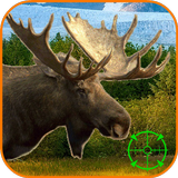 Moose Hunting Calls icon