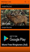 Wild Boar Hunting Calls اسکرین شاٹ 3