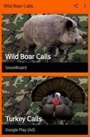 Wild Boar Hunting Calls پوسٹر