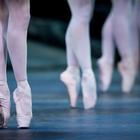 Just Ballet أيقونة