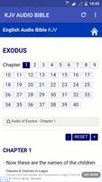 KJV Audio Bible screenshot 3