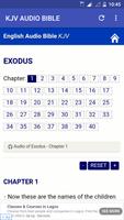 KJV Audio Bible Screenshot 3
