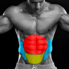 Abs Workout - 46 Best 6 pack E иконка
