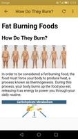 Fat Burning Foods captura de pantalla 3